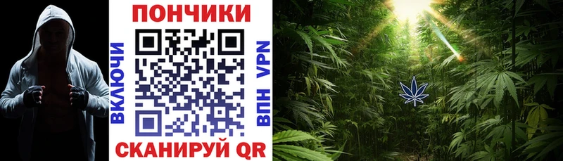 купить наркоту  Бутурлиновка  Каннабис тримм 